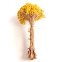 Trockenblume Immortelle Gelb Trockenblumenstrauß 30 cm Bild 4