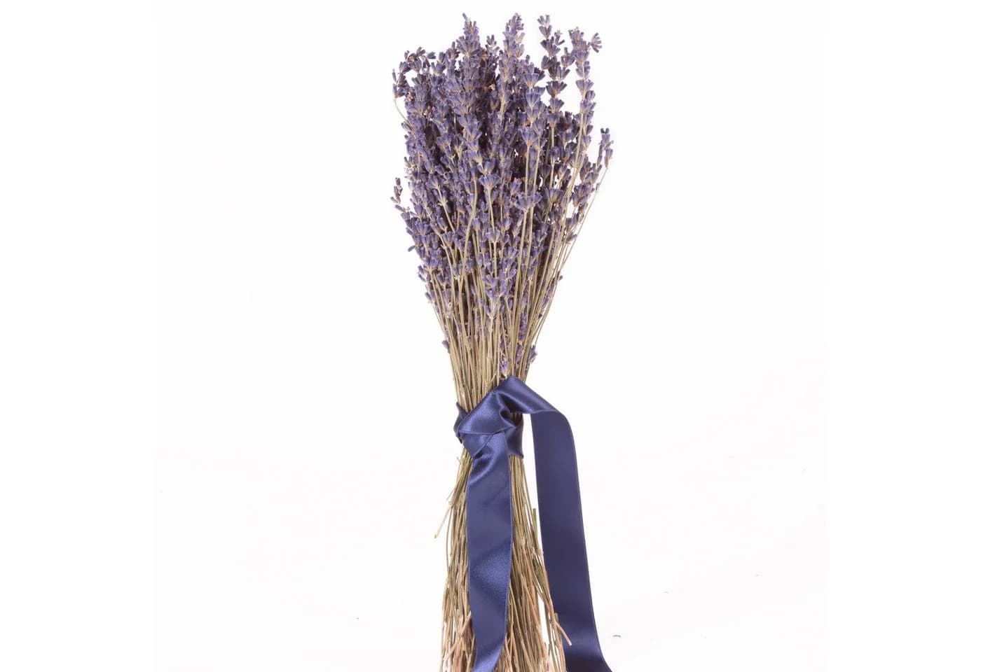 Trockenblume Echter Lavendel getrocknet Lavendelstrauß Deko Lavendelbund Ernte 2025 - Bild 2