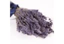 Trockenblume Echter Lavendel getrocknet Lavendelstrauß Deko Lavendelbund Ernte 2025 Bild 4