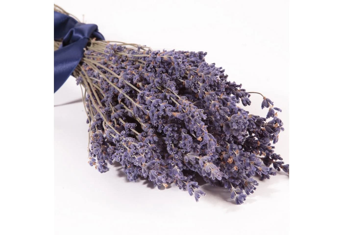 Trockenblume Echter Lavendel getrocknet Lavendelstrauß Deko Lavendelbund Ernte 2025 - Bild 4