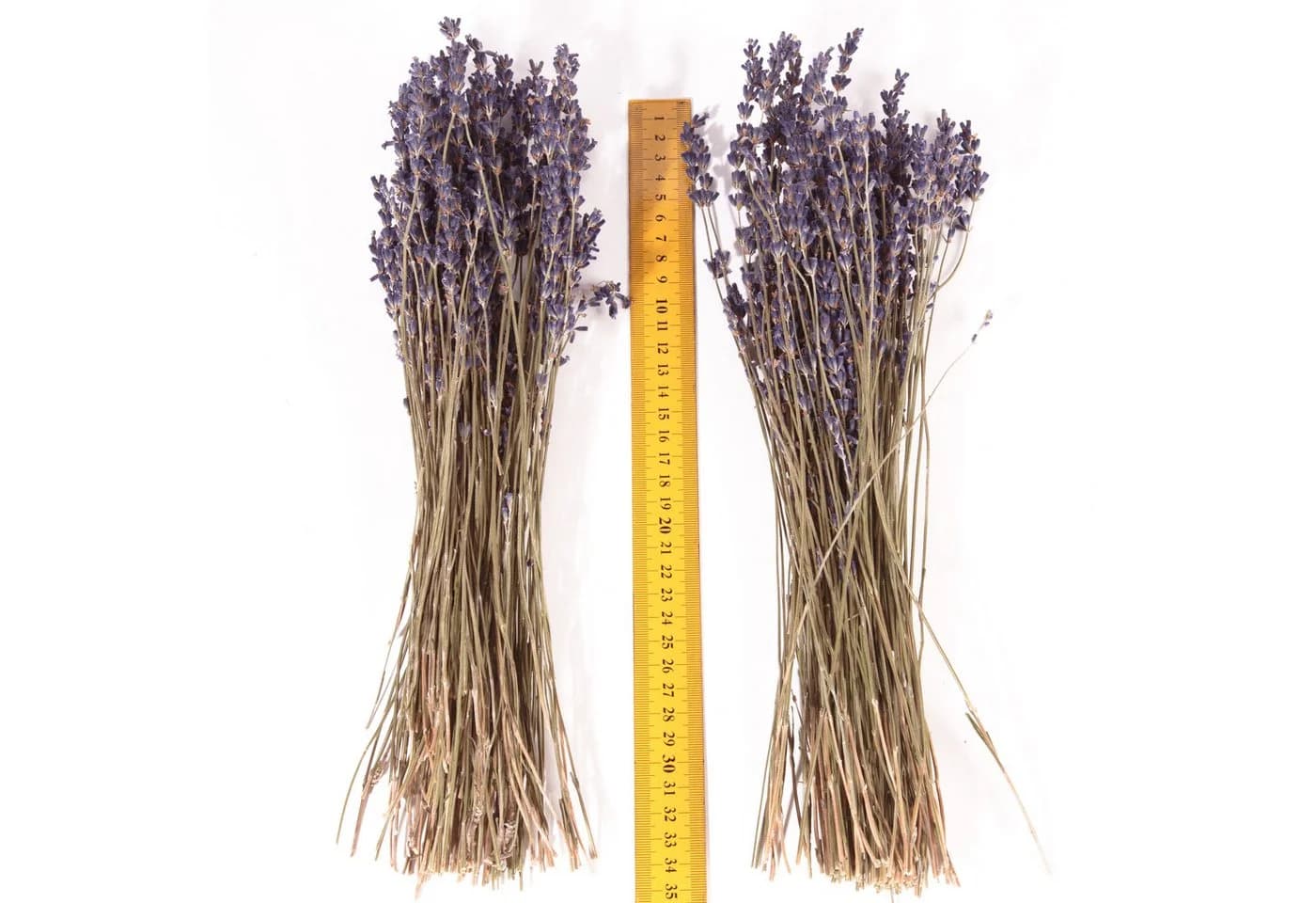 Trockenblume Echter Lavendel getrocknet Lavendelstrauß Deko Lavendelbund Ernte 2025 - Bild 5