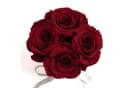 ROSEMARIE SCHULZ Heidelberg Infinity Rosenbox Dunkelrot 4 Rosen Bild 3