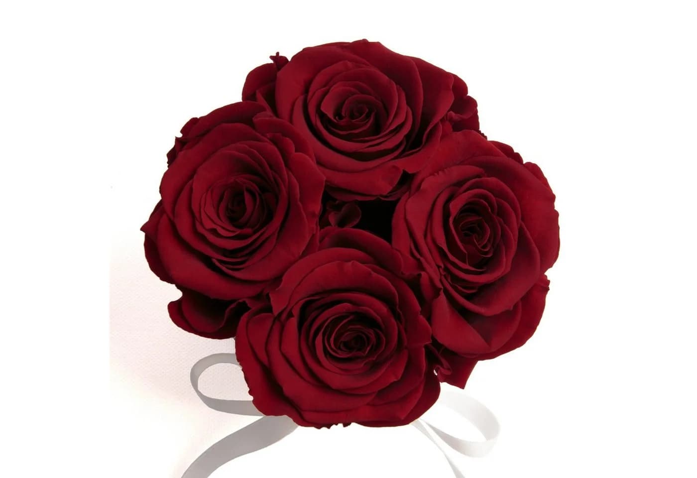 ROSEMARIE SCHULZ Heidelberg Infinity Rosenbox Dunkelrot 4 Rosen - Bild 3