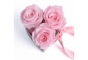 ROSEMARIE SCHULZ Heidelberg Infinity Rosenbox Herz Rosa Bild 3