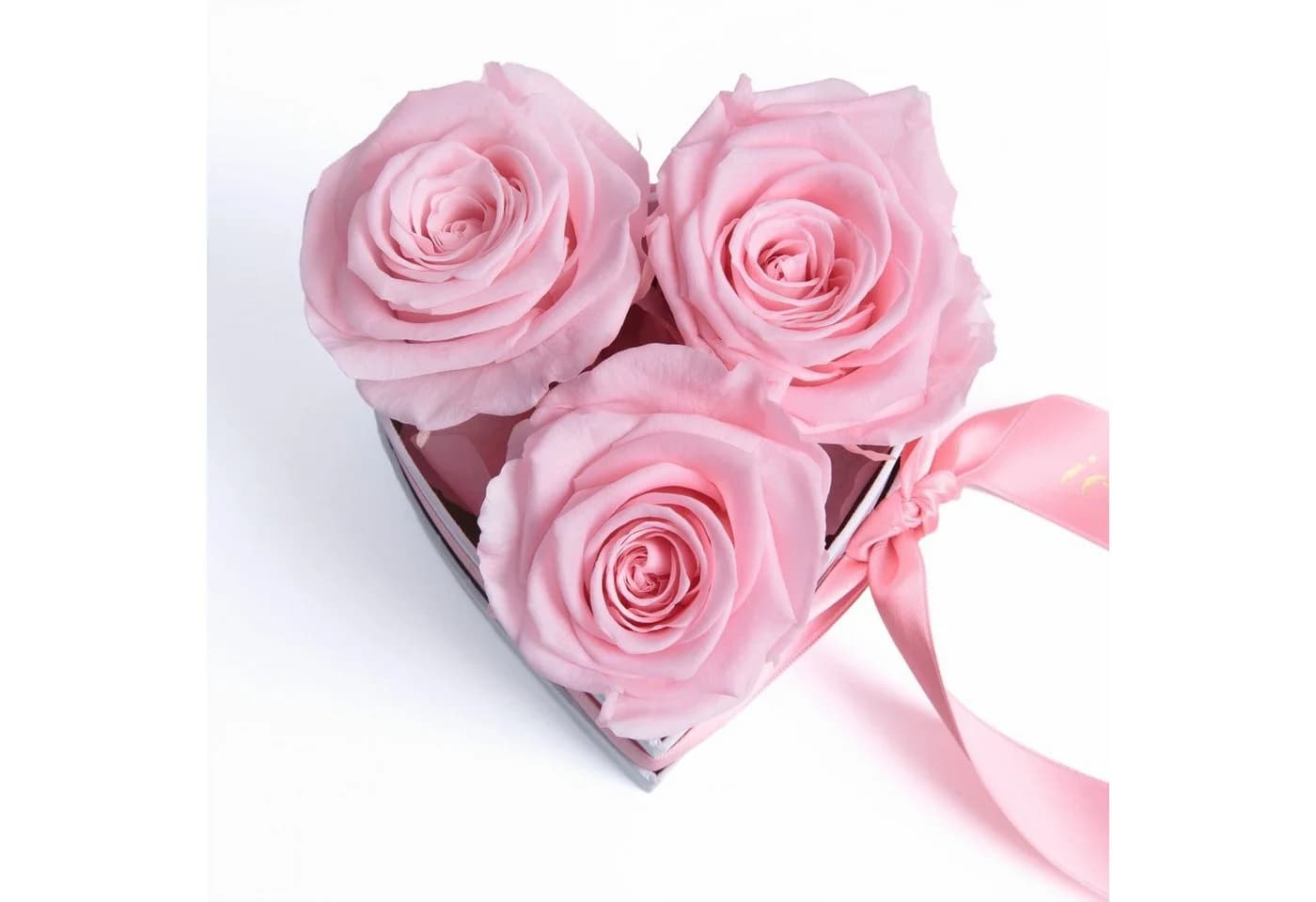 ROSEMARIE SCHULZ Heidelberg Infinity Rosenbox Herz Rosa - Bild 3