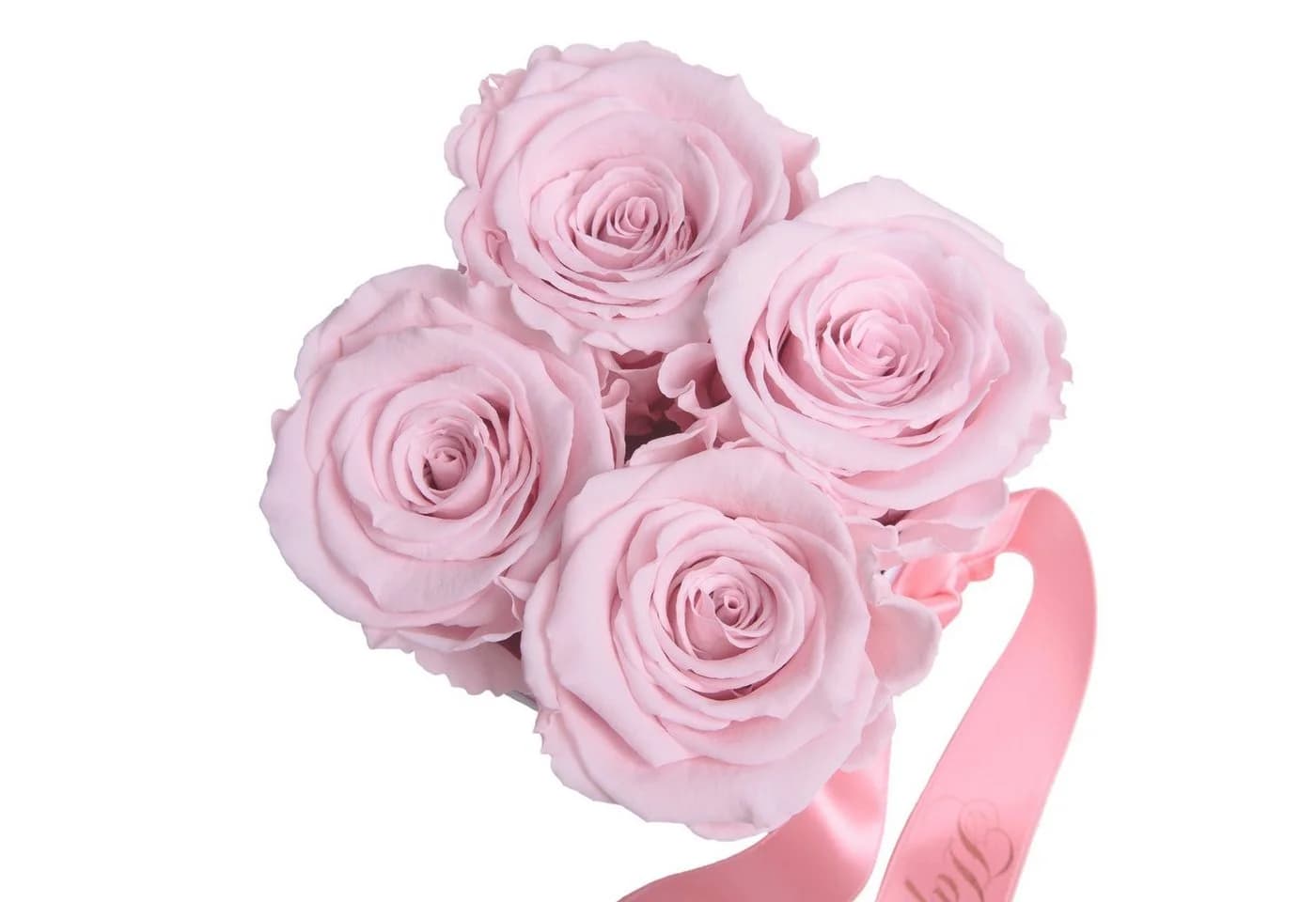 Infinity Rosenbox Happy Birthday 4 Rosen Rosa Weiß Rosemarie Schulz - Bild 3