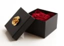 ROSEMARIE SCHULZ Heidelberg Infinity Rose Rot in Box Bild 1