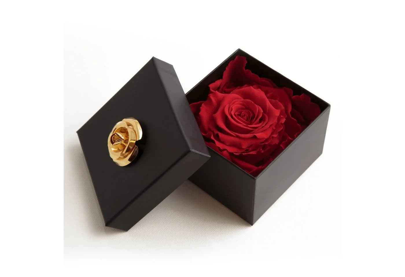 ROSEMARIE SCHULZ Heidelberg Infinity Rose Rot in Box - Bild 2