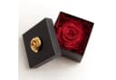 ROSEMARIE SCHULZ Heidelberg Infinity Rose Rot in Box Bild 3