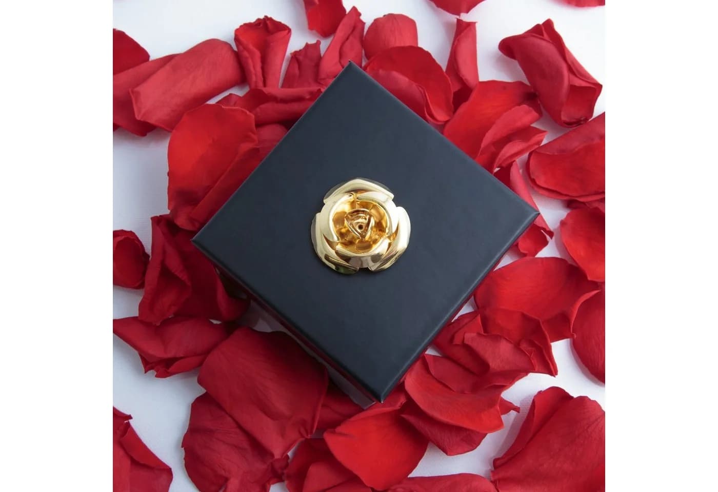ROSEMARIE SCHULZ Heidelberg Infinity Rose Rot in Box - Bild 4