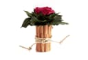 ROSEMARIE SCHULZ Heidelberg Infinity Rose in Zimtbecher Rosa Bild 2