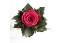 ROSEMARIE SCHULZ Heidelberg Infinity Rose in Zimtbecher Rosa Bild 4