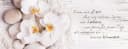 artissimo Glasbild Orchidee Weiß Beige 80x30 cm Modern Bild 2