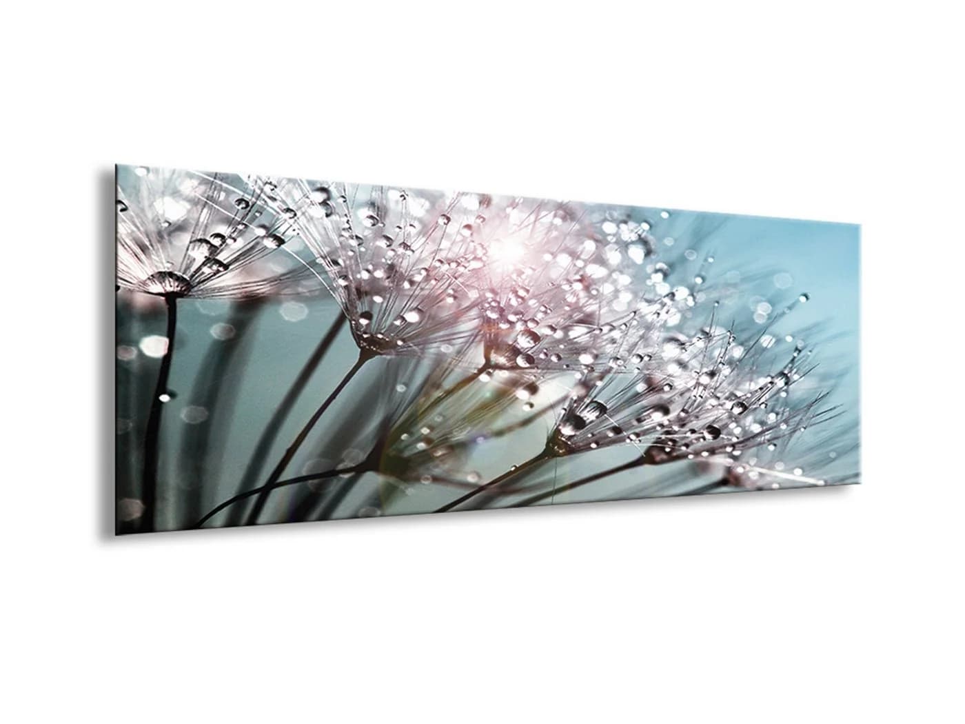 artissimo Glasbild Pusteblume Türkis 80x30 cm - Bild 3