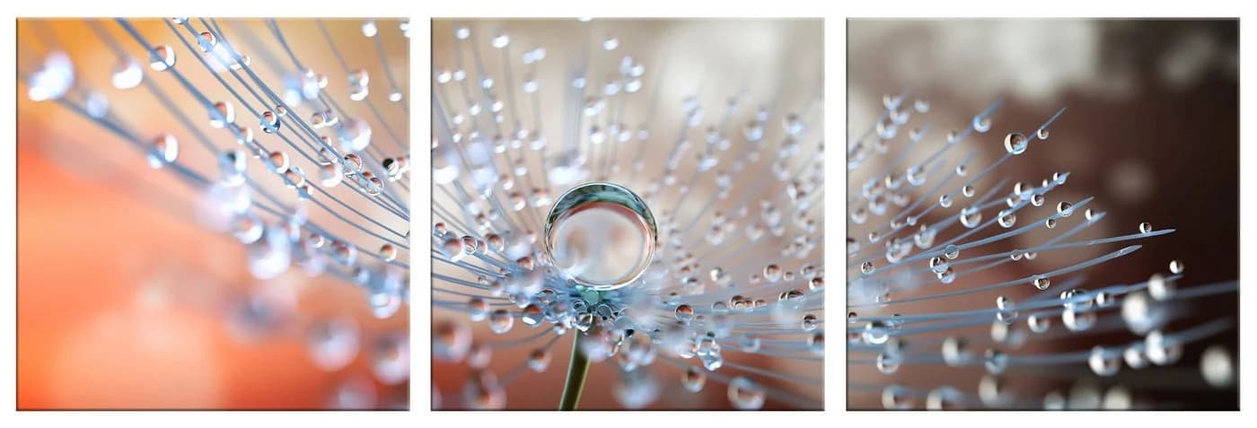 artissimo Glasbild 3-Teiler Pusteblume Detail - Bild 3