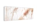 artissimo Glasbild Pampasgras Beige 80x30 cm Wandbild Querformat Bild 3