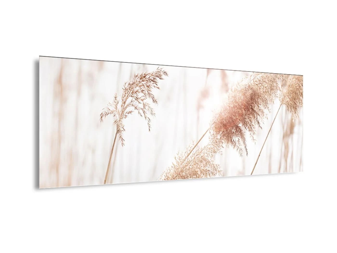 artissimo Glasbild Pampasgras Beige 80x30 cm Wandbild Querformat - Bild 3