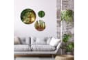 artissimo 3-teiliges runde Wandbilder Set Naturmotive grün beige Bild 1