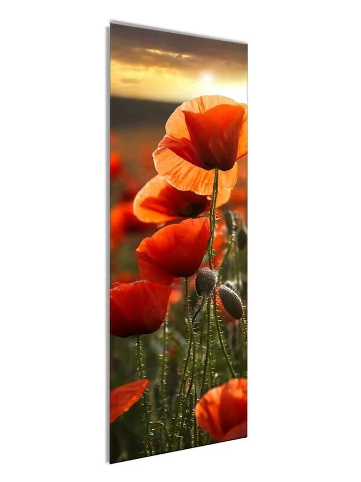 artissimo Glasbild Mohnfeld im Abendlicht 30x80 cm