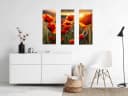 artissimo Glasbild Mohnfeld im Abendlicht 30x80 cm Bild 4