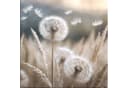 artissimo Glasbild 30x30cm Boho-Style Pusteblume Bild 2