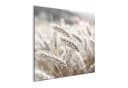 artissimo Glasbild 30x30 cm Natur Getreideähren Beige Bild 1