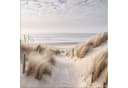 artissimo Glasbild Strand und Meer Dünenweg Beige 50x50 cm Bild 2