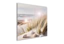 artissimo Glasbild Strand Muscheln Beige 50x50 cm Bild 1