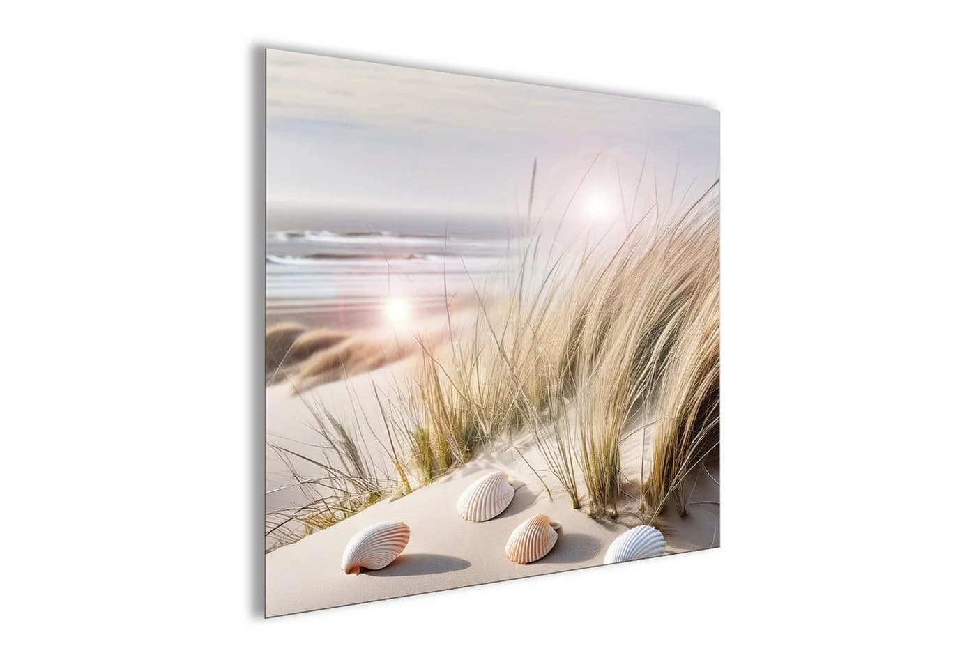 artissimo Glasbild Strand Muscheln Beige 50x50 cm