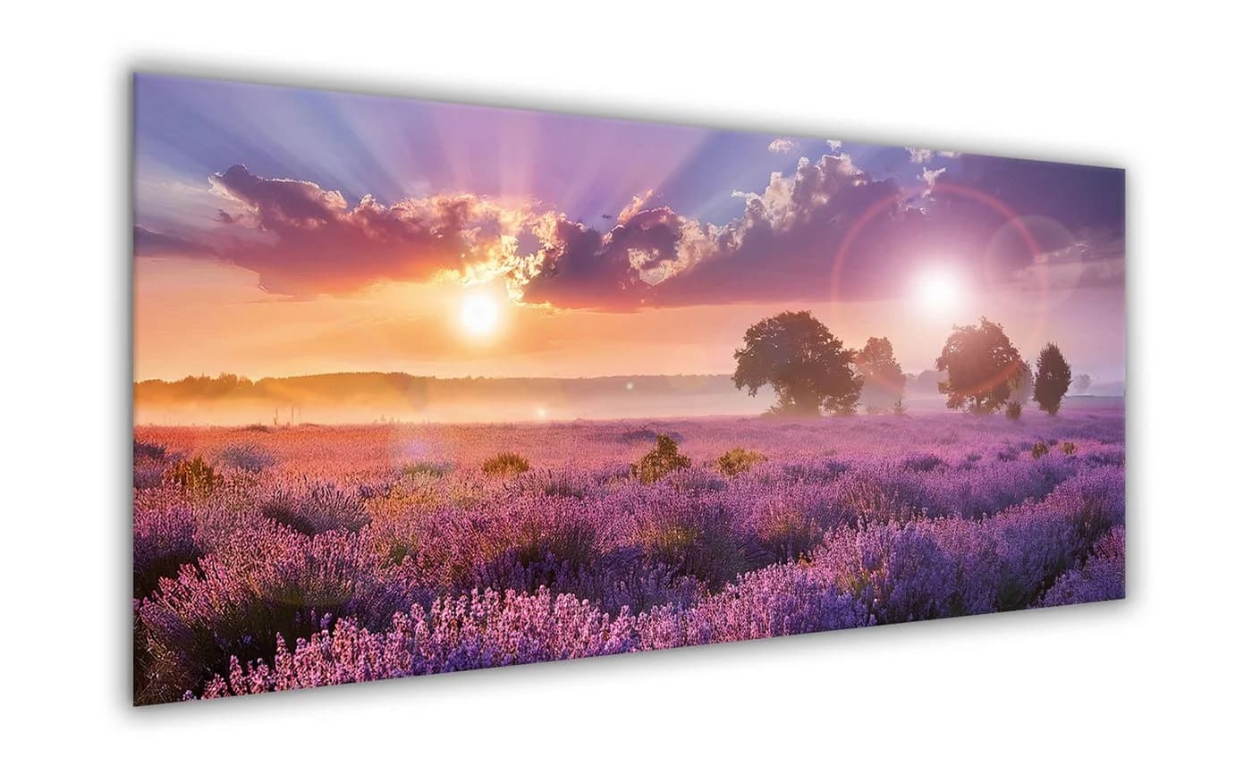 artissimo Glasbild Lavendelfeld XXL 125x50 cm Panorama Wandbild modern lila