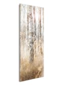artissimo Glasbild Birkenwald 30x80 cm Weiß Beige Bild 1