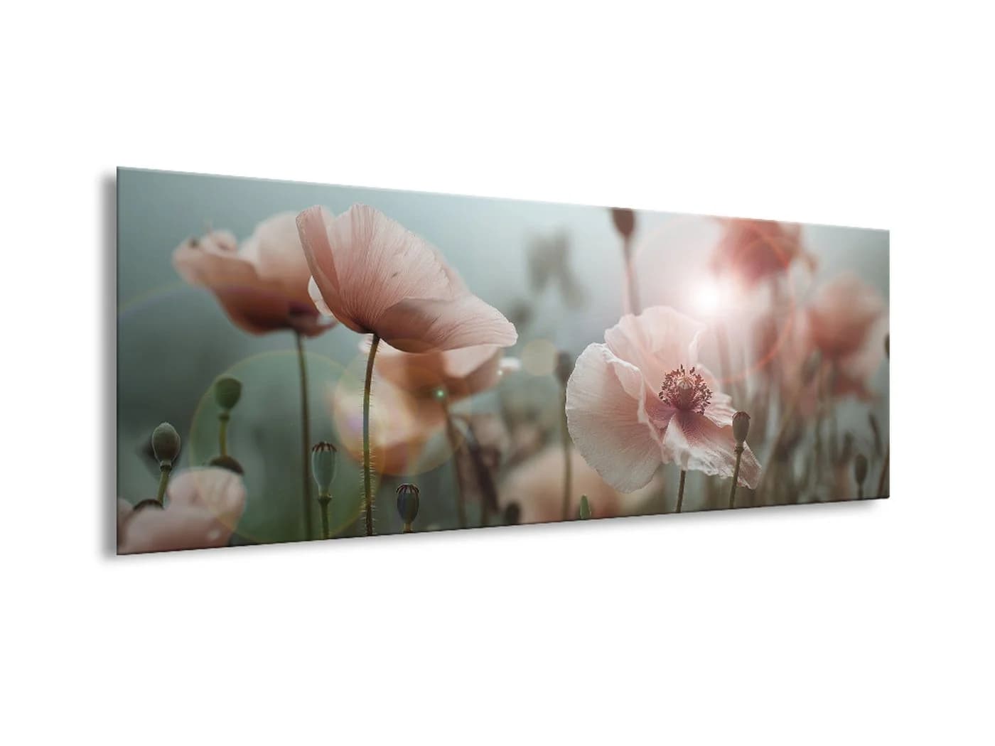 artissimo Glasbild Mohnblüten Pastell 80x30 cm Wandbild Querformat