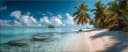 artissimo Glasbild XXL Panorama Strand mit Palmen 125x50 cm Bild 2