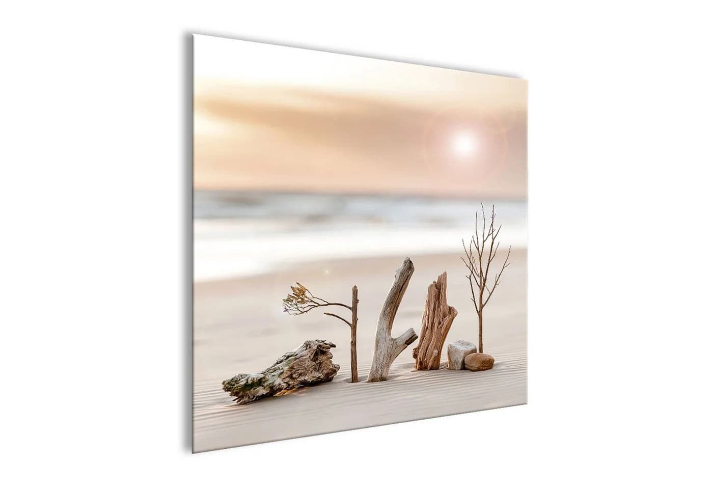artissimo Glasbild Strandmotiv Treibholz 50x50 cm Beige