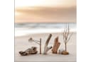 artissimo Glasbild Strandmotiv Treibholz 50x50 cm Beige Bild 2