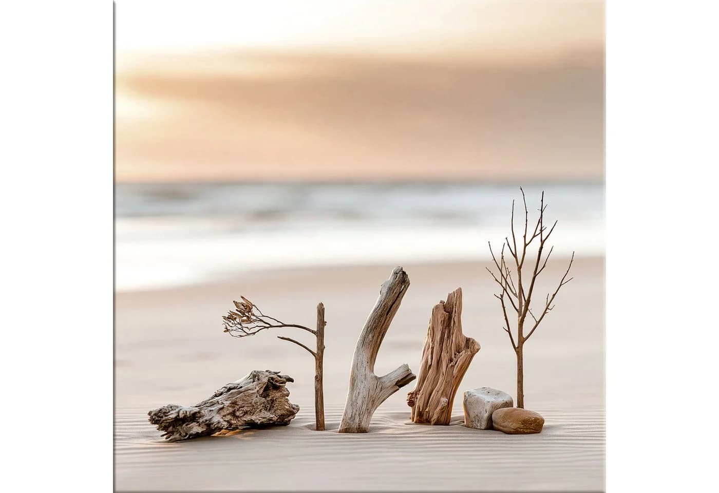 artissimo Glasbild Strandmotiv Treibholz 50x50 cm Beige - Bild 2