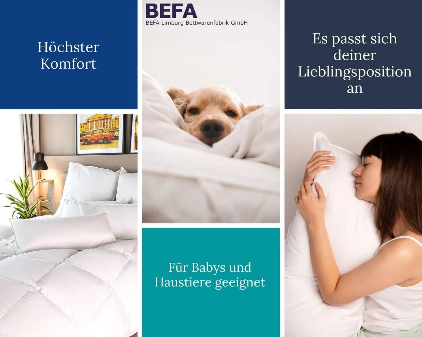 BEFA NATUR Daunenkissen 15% Daunenanteil 80x80 cm Baumwolle - Bild 5