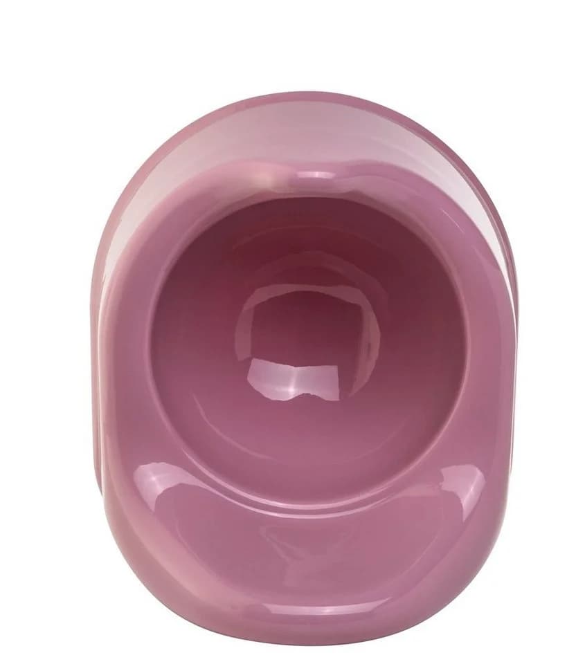 Rotho Babydesign Töpfchen Bella Bambina Violett