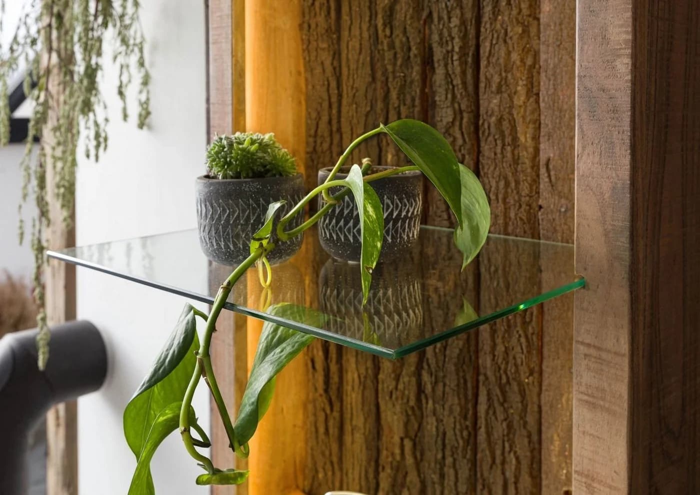 Massivmoebel24 Wandregal BARK, 1-tlg., Akazie 45x30x145 natur lackiert - Bild 5