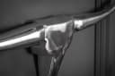 riess-ambiente Wanddeko BULL Silber Stierkopf Modern Design Bild 3