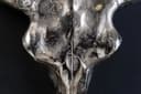 riess-ambiente Wanddekoobjekt MATADOR 70cm silber Stierkopf Skulptur Bild 4
