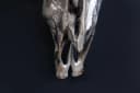 riess-ambiente Wanddekoobjekt MATADOR 70cm silber Stierkopf Skulptur Bild 5