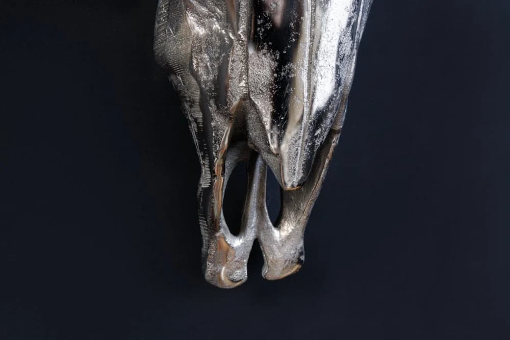 riess-ambiente Wanddekoobjekt MATADOR 70cm silber Stierkopf Skulptur - Bild 5