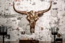 riess-ambiente Wanddekoobjekt MATADOR Longhorn Schädel Kupfer Bild 2