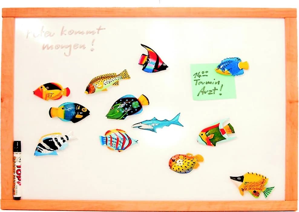 WORU Magnettafel Whiteboard Buche 50x60cm