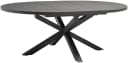 Destiny Esstisch ARONA Aluminium Oval Bild 1