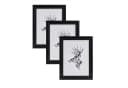 Woltu Bilderrahmen 3er Set Massivholz Fotogalerie Bild 2