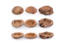 DESIGN DELIGHTS Dekoschale Holz massiv ROOTS 40 Naturbelassen Bild 5