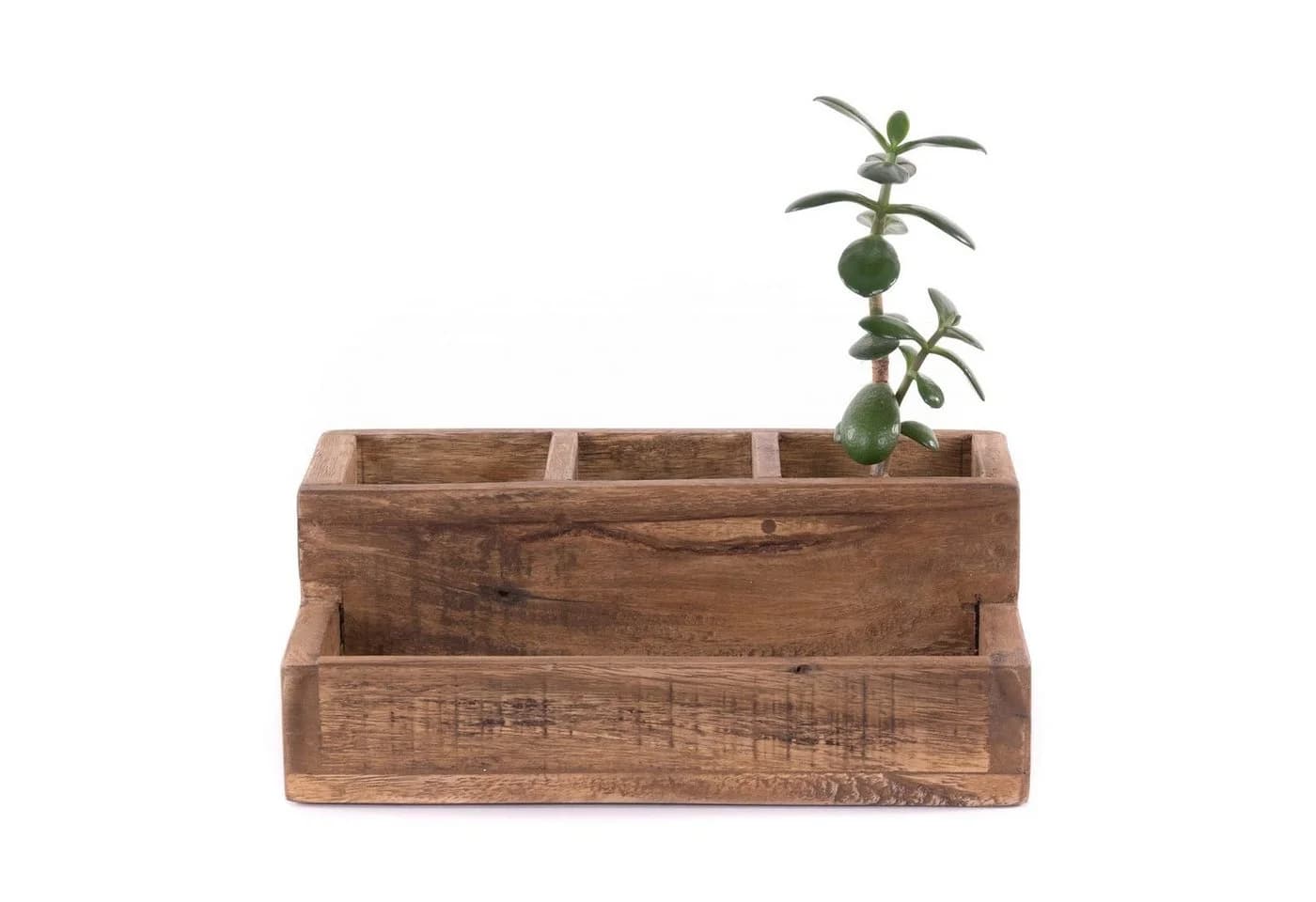DESIGN DELIGHTS Aufbewahrungsbox Lepus Altholz massiv Stiftehalter - Bild 3