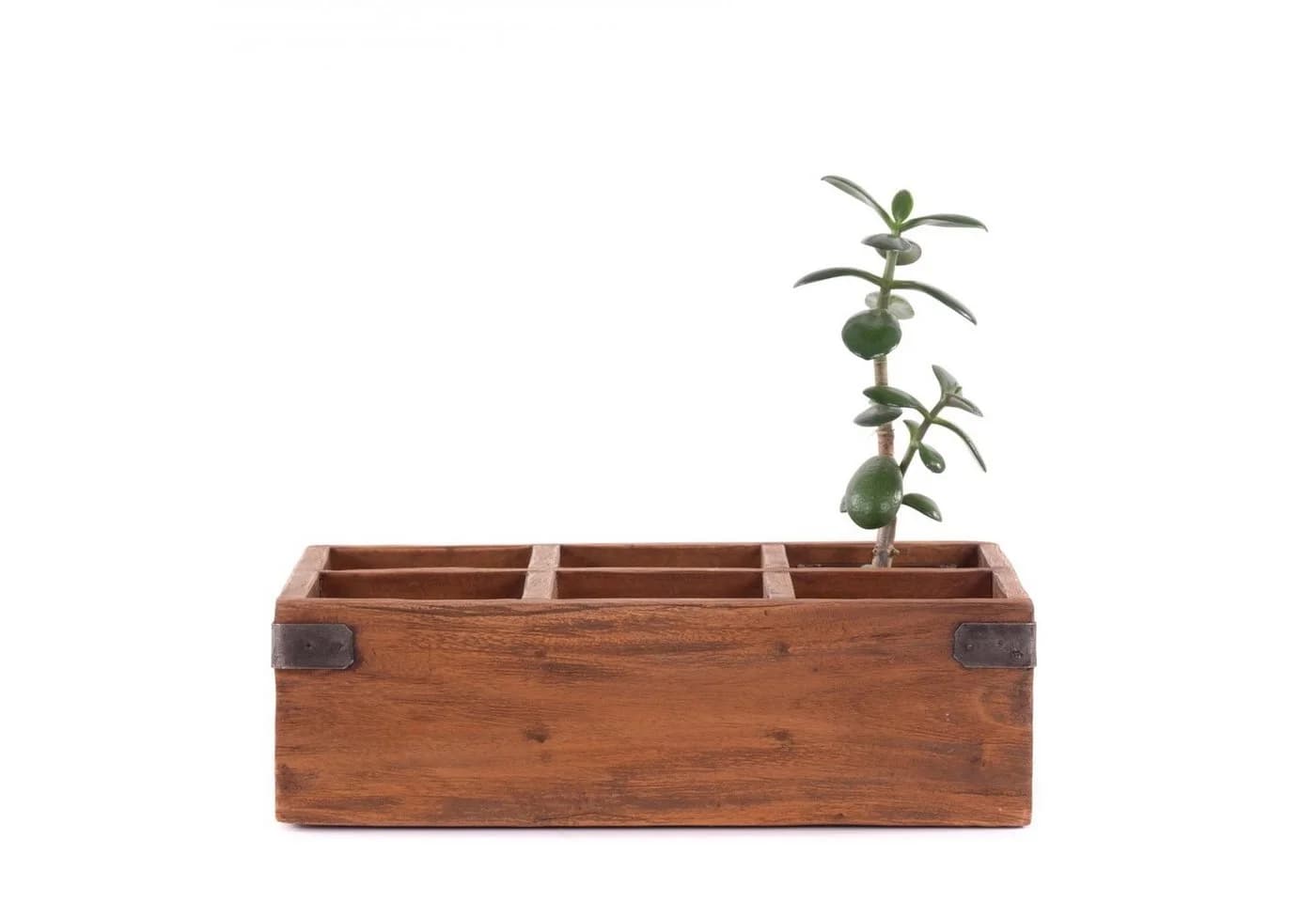 DESIGN DELIGHTS Truhe HOLZKISTE ORDINA Altholz 6 Fächer - Bild 5